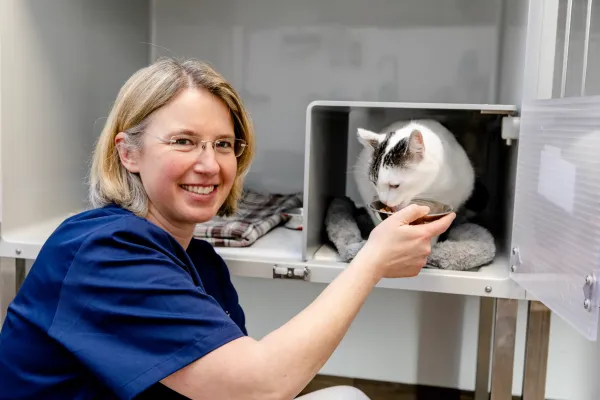 cat-friendly-katzenstation