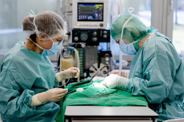 tierklinik-oberhaching-anaesthesie-narkoseeinleitung