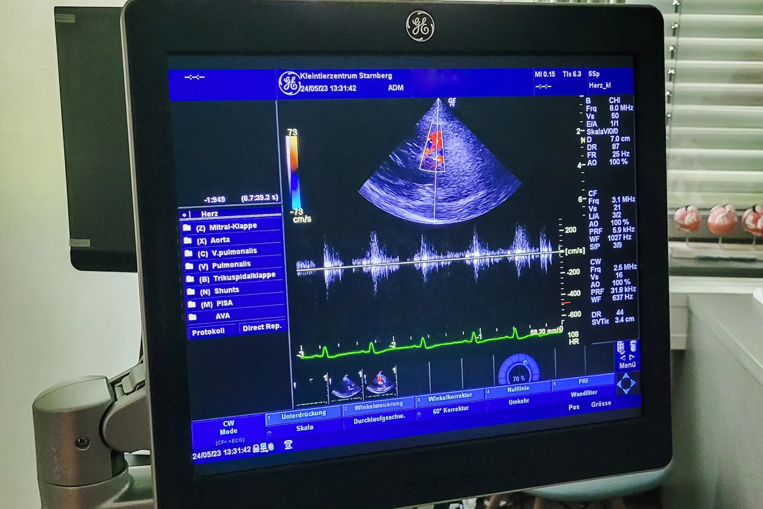 kleintierzentrum-starnberg-kardiologie-ekg-herzultraschall